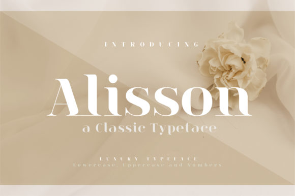 Alisson Serif Font for Digital Branding & Web Design