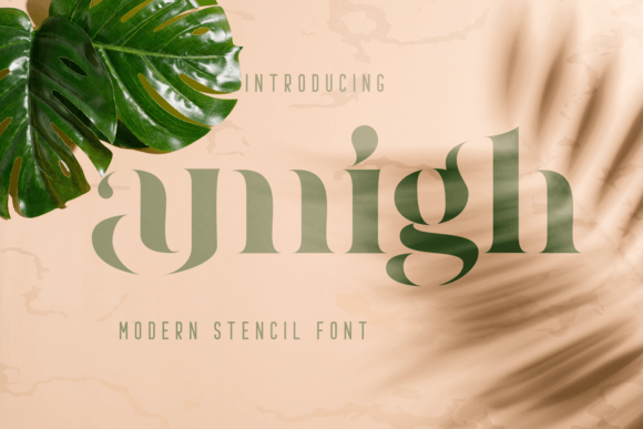 Amigh Serif Font for Professional Small Business Branding
