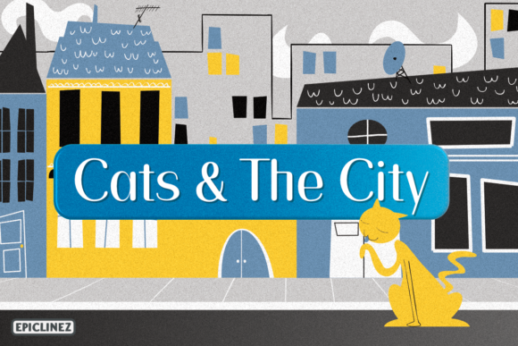 Cats and the City: A Warm, Minimal Script Font for Thoughtful Branding