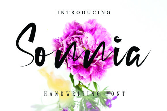 Sonnia: A Friendly Handwritten Font for Digital Branding